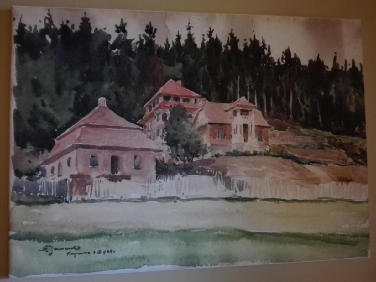 Apartament Sloneczny - 克雷尼察 外观 照片